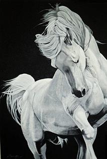 213x314 Dancing White Horse Painting By Michelle Symington - Black And White Horse Painting