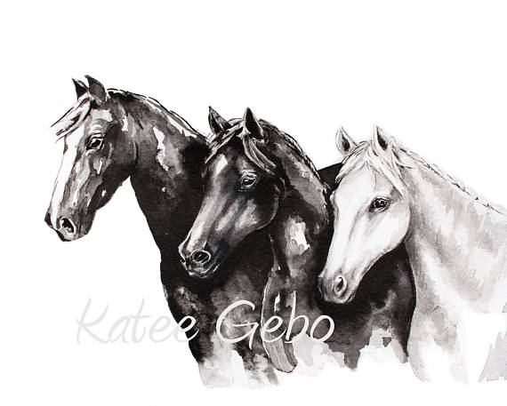 570x457 Horse Wall Art Black And White Horse Painting Print - Black And White Horse Painting