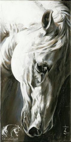 236x472 Pin By Nc Yvz On Hoby Horse, Horse Art And Horse - Black And White Horse Painting