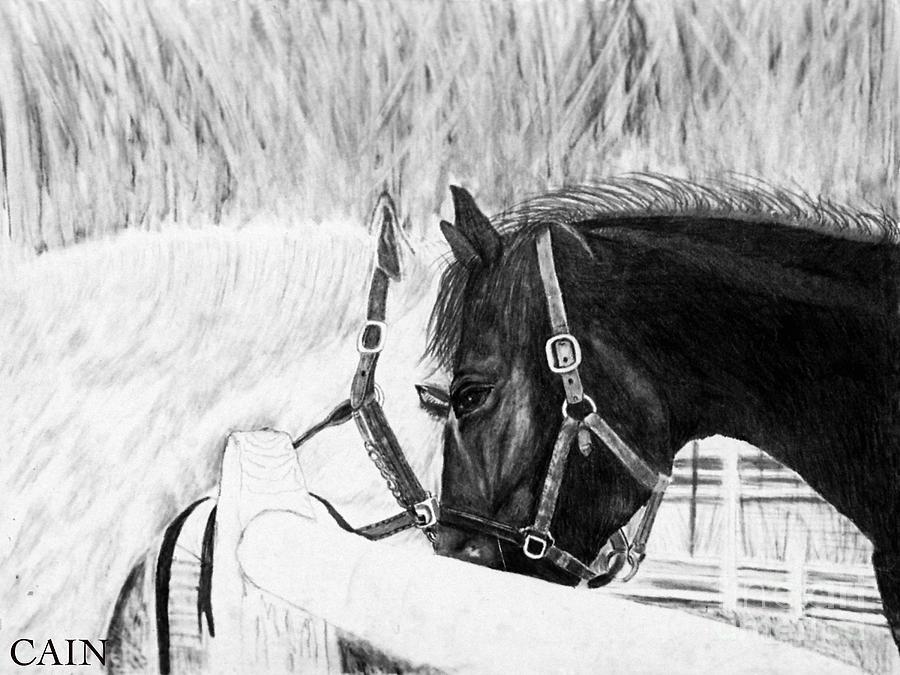 900x675 Black And White Horse Painting - Black And White Horse Painting