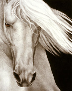 239x300 Black And White Horse Paintings Fine Art America - Black And White Horse Painting