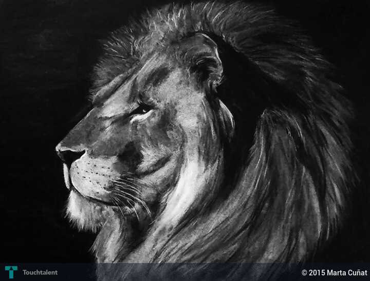 720x548 Lion - Black And White Lion Painting