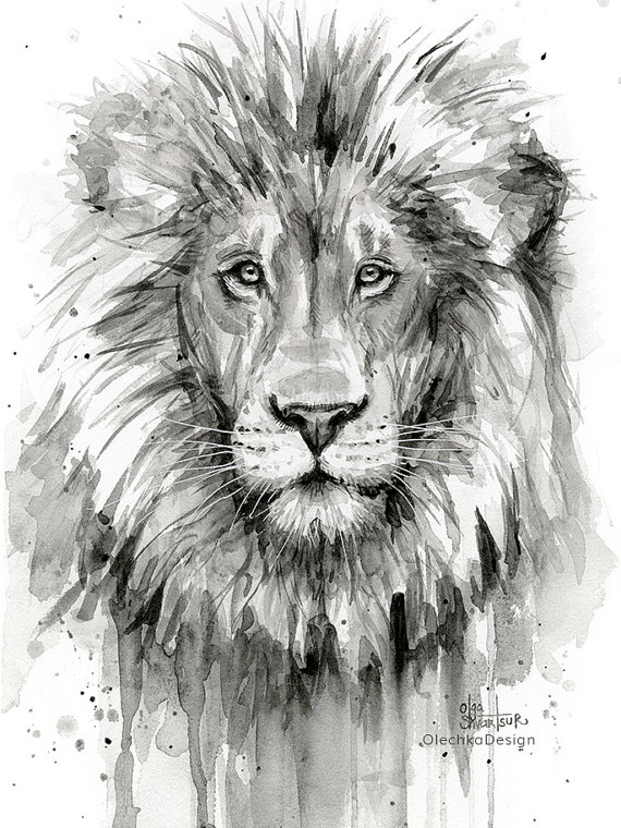 Black And White Lion Painting At Paintingvalleycom