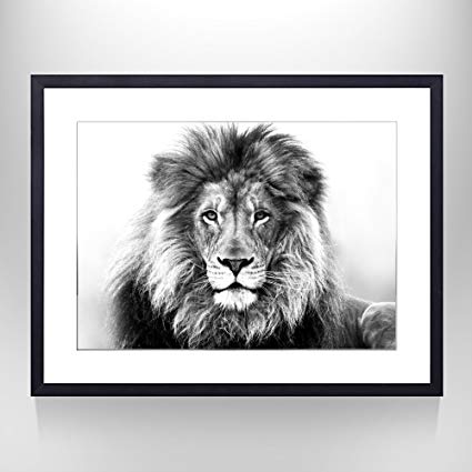425x425 Sea Charm Modern Wall Art, Black And White Lion - Black And White Lion Painting