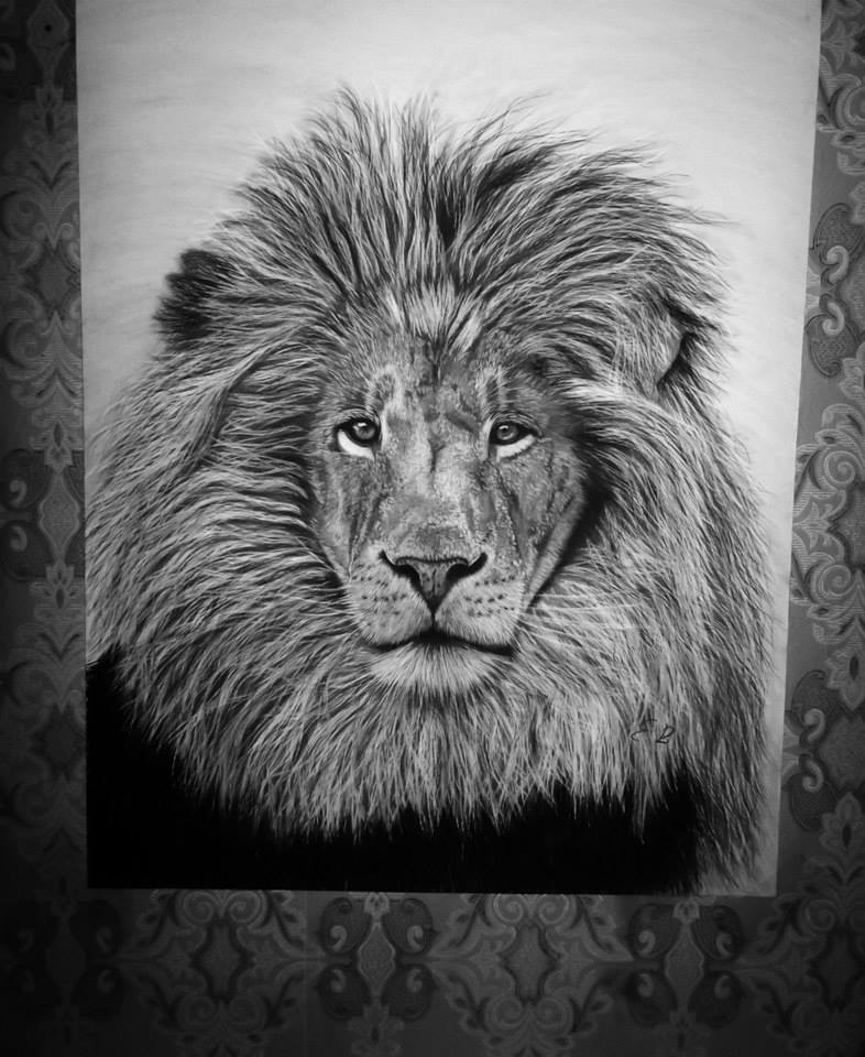 786x960 Black And White Lion Canvas Painting - Black And White Lion Painting