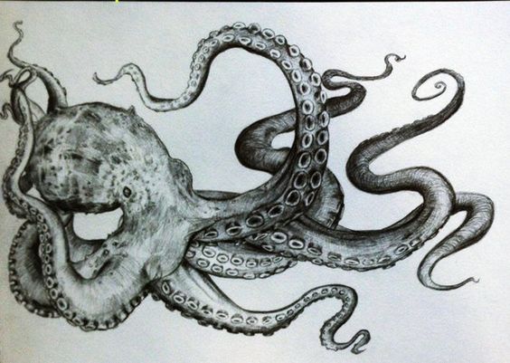 Black And White Octopus Painting