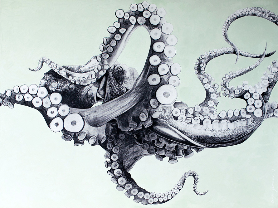 891x667 Fine Art Portfolio Leigh Bisset - Black And White Octopus Painting