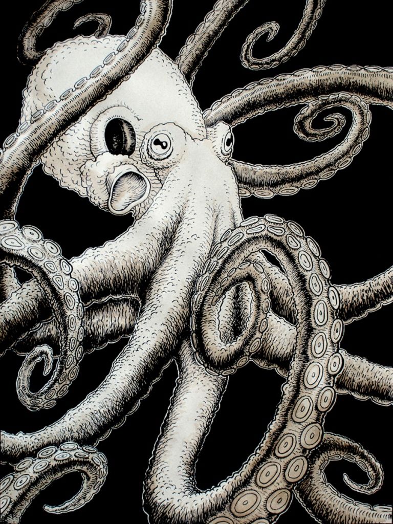768x1024 Octopus Art By Eric Snelleman. I Love The Plain White Octopus - Black And White Octopus Painting