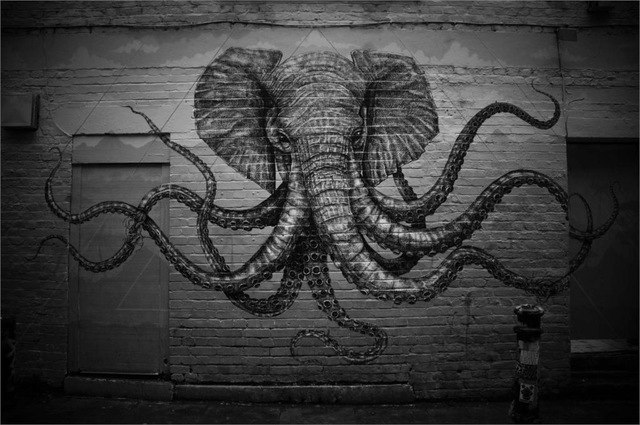 640x425 The Elephant Nose Octopus Black White Graffiti Home Decoration Art - Black And White Octopus Painting