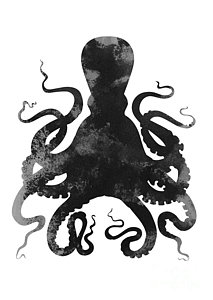 213x300 Black Octopus Illustration For Nursery Room Painting By Joanna Szmerdt - Black And White Octopus Painting