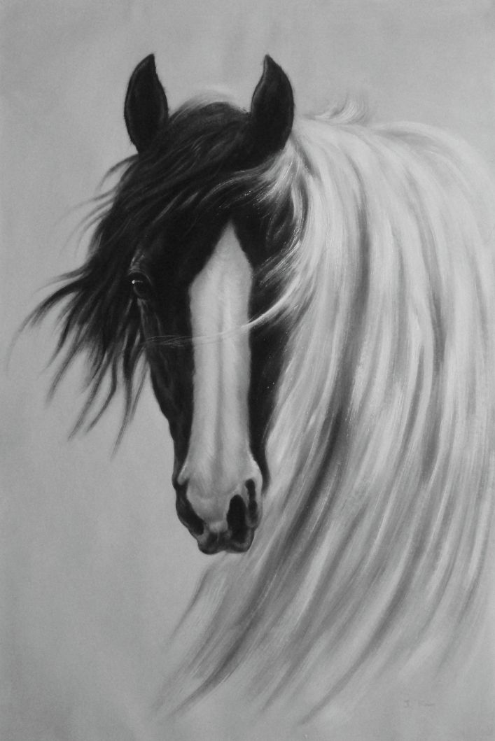 707x1059 Framed Gorgeous Black White Horse With Long And Flowing White - Black And White Oil Painting