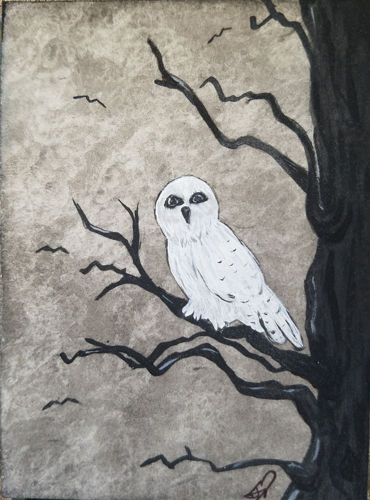 Black And White Owl Painting