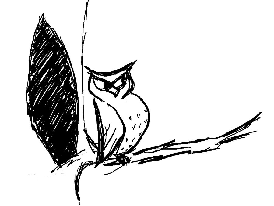 900x675 Black And White Owl By Pisoiroz - Black And White Owl Painting