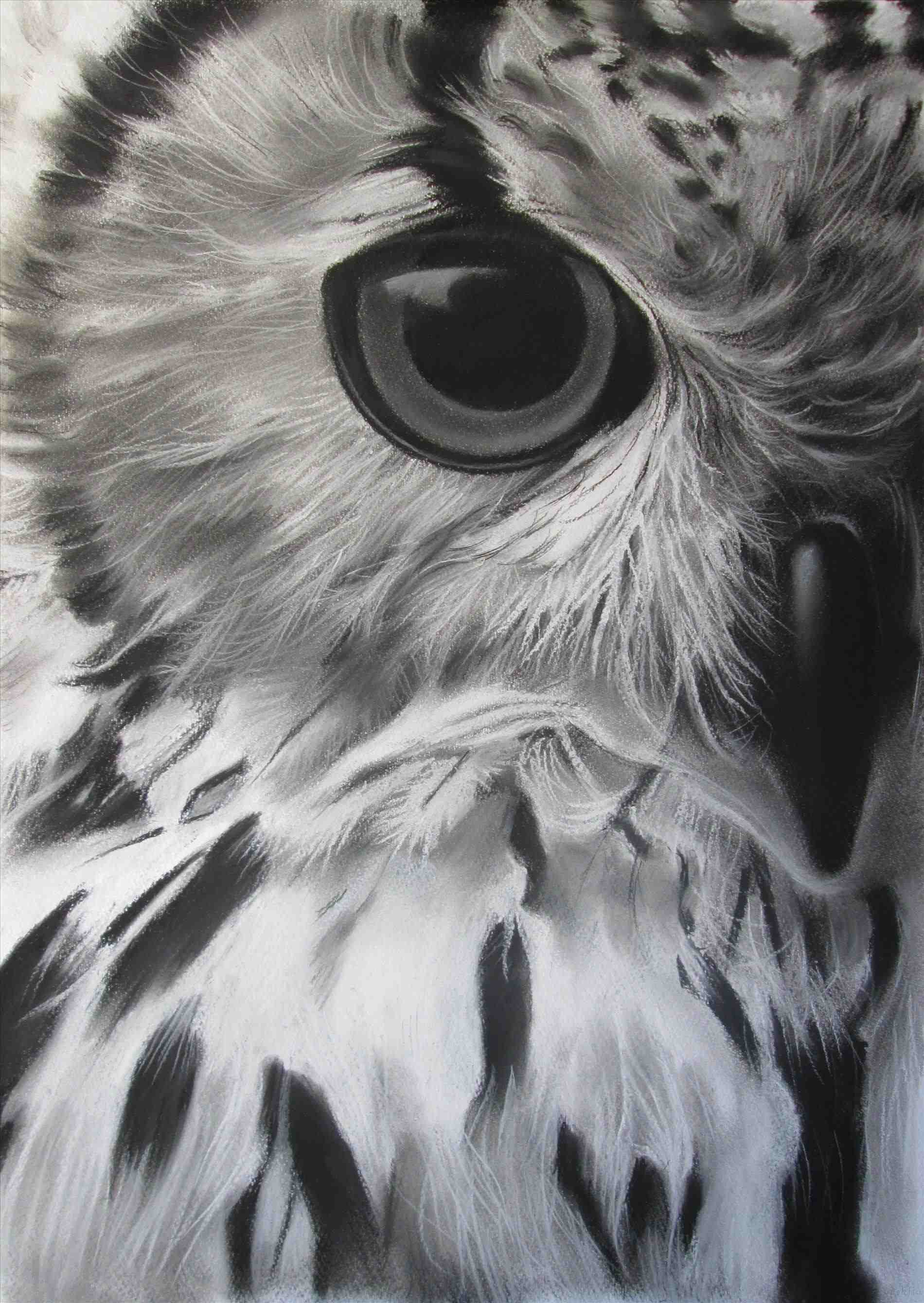 1900x2680 Flarerhwallpaperflarecom Hydra Pen Ink Illustration Imgurcom - Black And White Owl Painting
