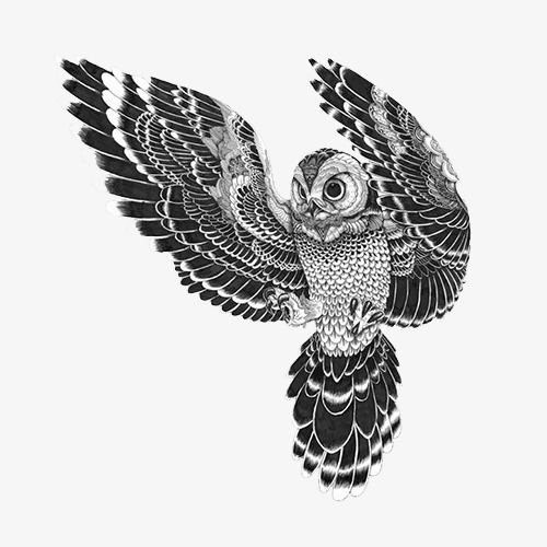 500x500 Owl Black White Decorative Painting, Animal, Birds, Black - Black And White Owl Painting