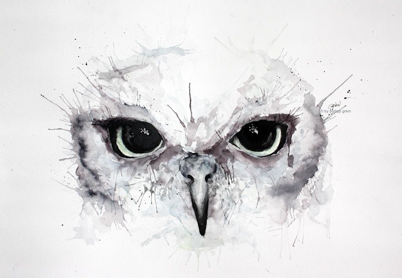 800x554 Owl Painting - Black And White Owl Painting