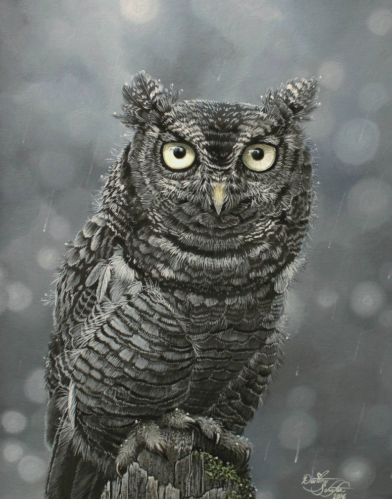 792x1009 Owl Painting By Straewefin - Black And White Owl Painting