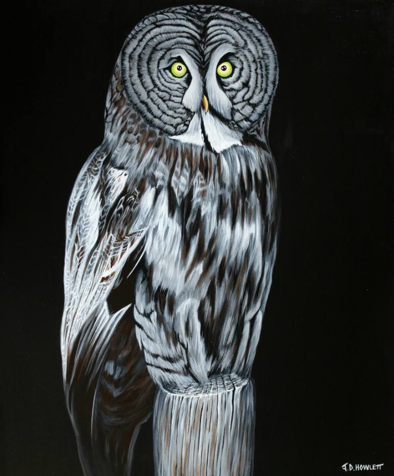 770x930 Saatchi Art Great Grey Owl Painting By Jon Howlett - Black And White Owl Painting