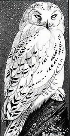 233x453 Snowy Owl Painting - Black And White Owl Painting