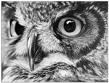 366x277 Birds Of Prey - Black And White Owl Painting