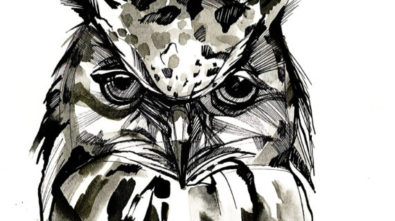 570x320 Black And White Owl Drawing Owl Painting Modern Art - Black And White Owl Painting