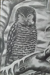 202x300 Black And White Owl Paintings - Black And White Owl Painting