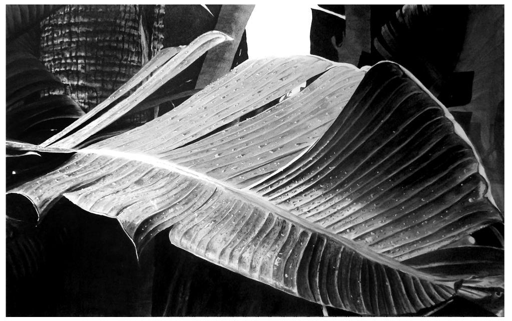 1023x641 Painting Black And White Artwork - Black And White Painting Images