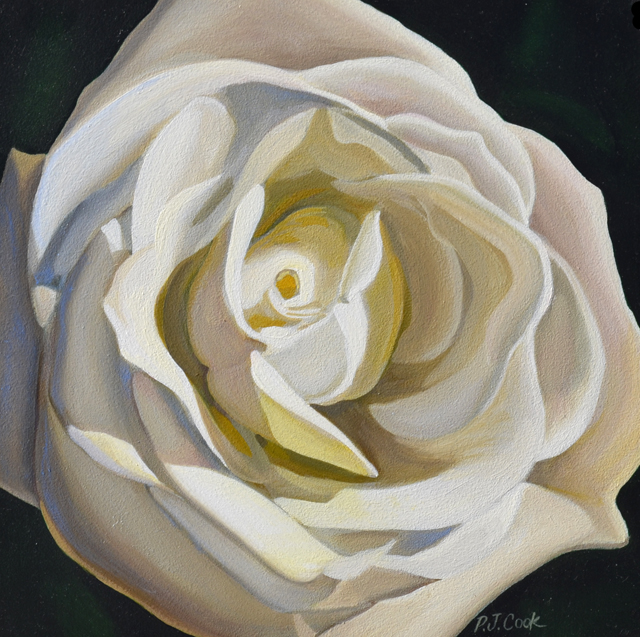640x637 Mini White Rose Oil Painting - Black And White Rose Painting