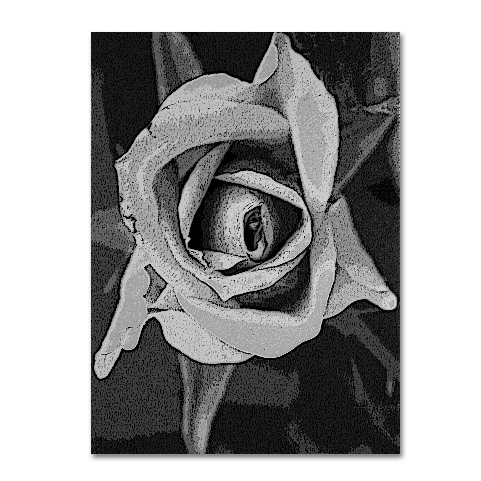 2000x2000 Trademark Art Black Amp White Rose By Patty Tuggle Framed Painting - Black And White Rose Painting