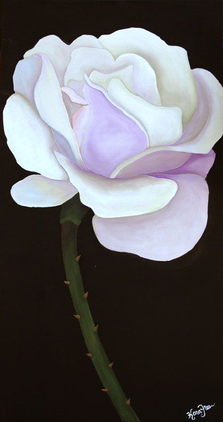 451x853 White Rose On Black Background Painting By Kara Freeman Www - Black And White Rose Painting