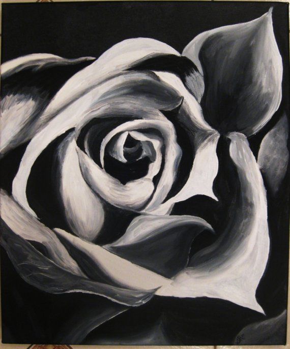 570x687 Black And White Rose By Shelby Rose Is An Oil Painting On A 20 X - Black And White Rose Painting