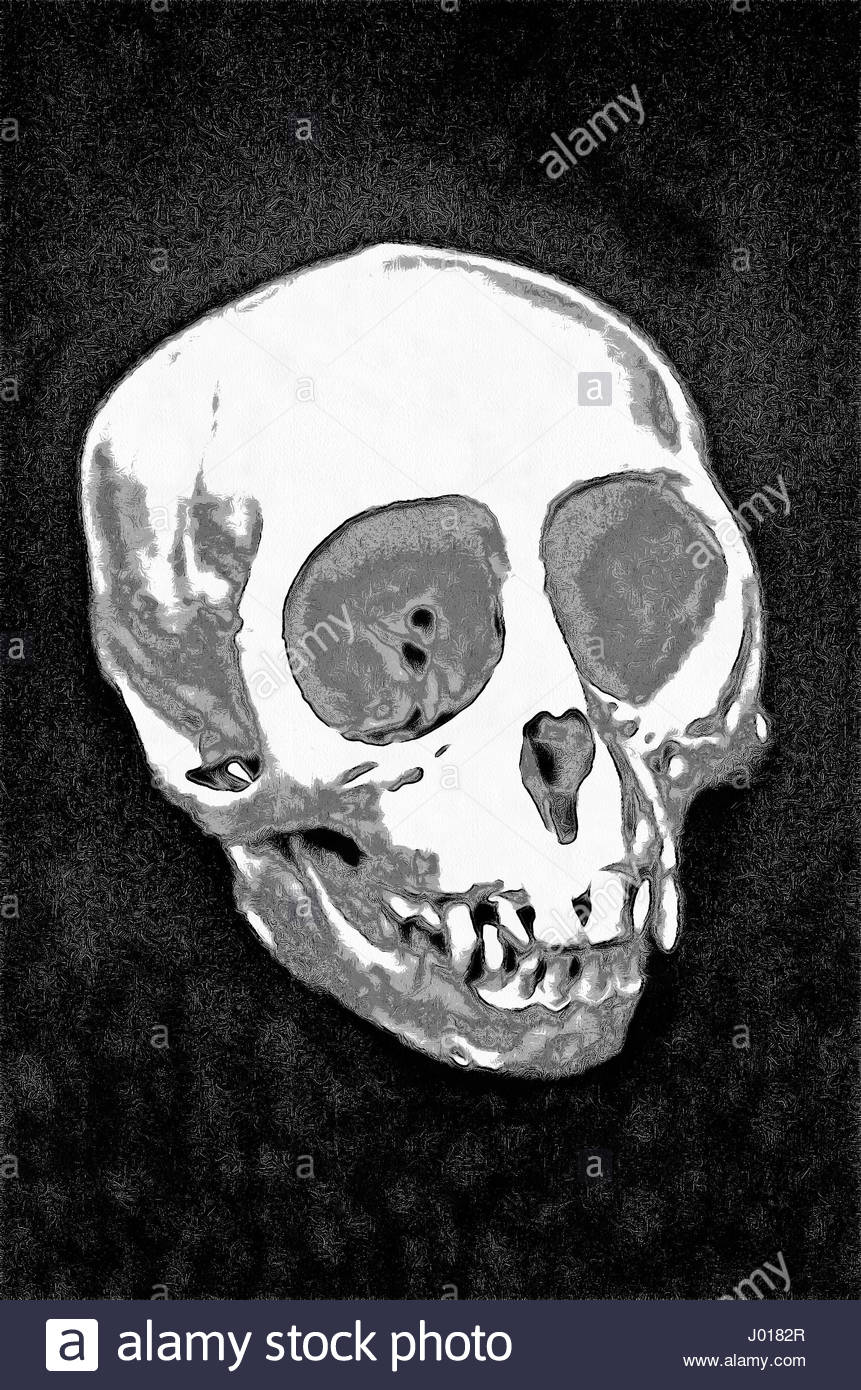 861x1390 Skull Painting Black And White Stock Photos Amp Images - Black And White Skull Painting
