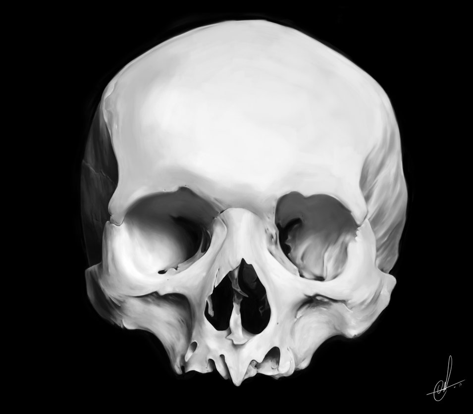 955x836 Skull Painting By Elliottwilkie - Black And White Skull Painting