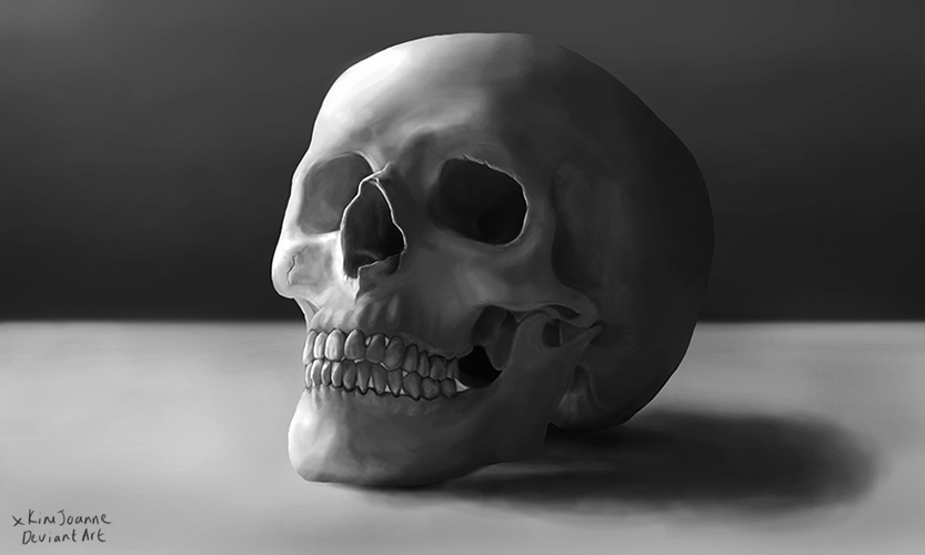 833x500 Digital Painting Skull Still Life Practice By Kimjsinclair - Black And White Skull Painting
