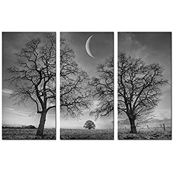 350x350 Black And White Moon Canvas Wall Art Decor, Winter - Black And White Tree Canvas Painting