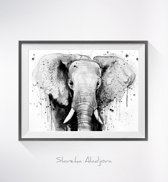 556x604 Black Amp White Elephant Head Watercolor Painting Print - Black And White Watercolor Painting