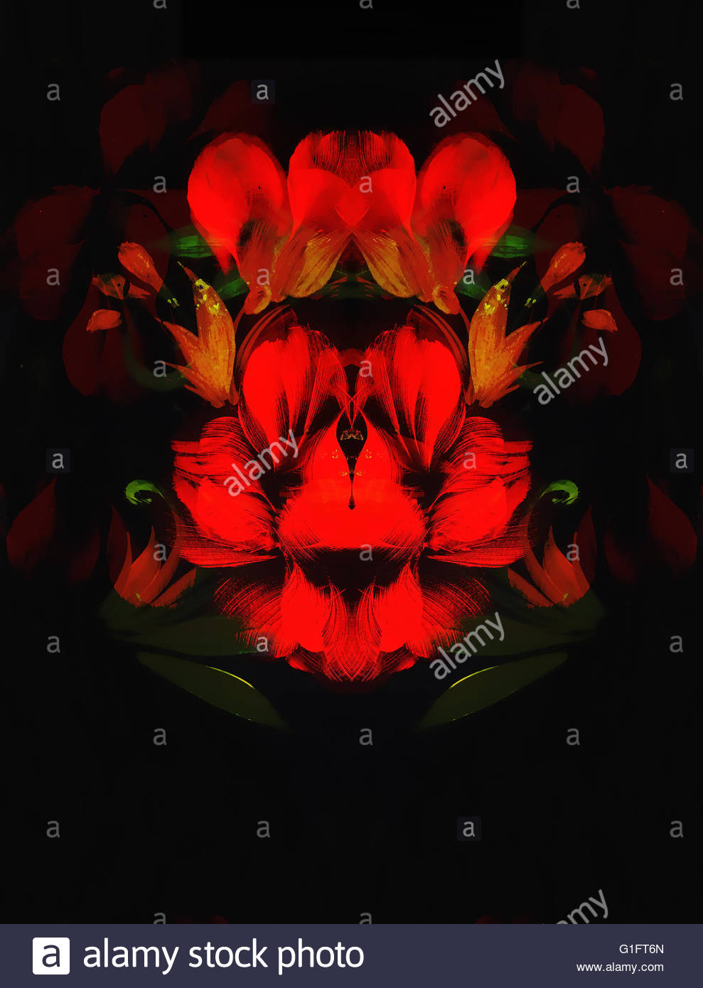 989x1390 Red Flower On Black Background. Painting And Computer Collage - Black Background Painting