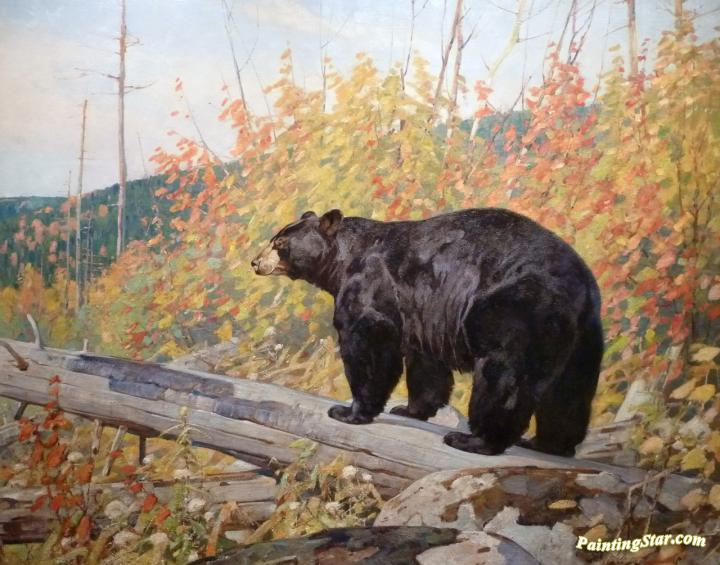 720x565 American Black Bear Artwork By Carl Rungius Oil Painting Amp Art - Black Bear Painting