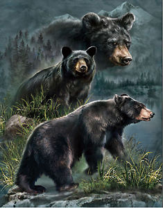 235x300 Black Bear Lenticular 3d Picture Animal Poster Painting Home Wall - Black Bear Painting