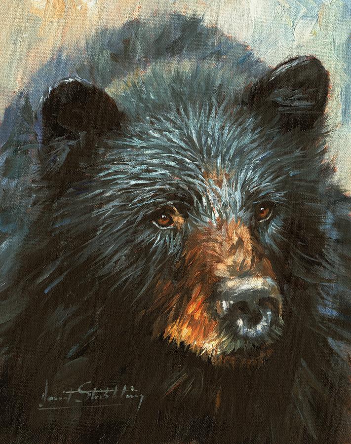 711x900 Black Bear Painting By David Stribbling - Black Bear Painting