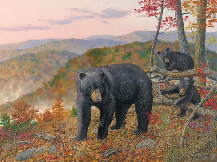 700x525 Black Bear Wall Decor, Large Wall Art Print, Large - Black Bear Painting