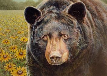 354x250 Artist's Black Bear Painting Chosen For New State Stamp - Black Bear Painting