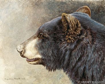 366x293 Black Bear - Black Bear Painting