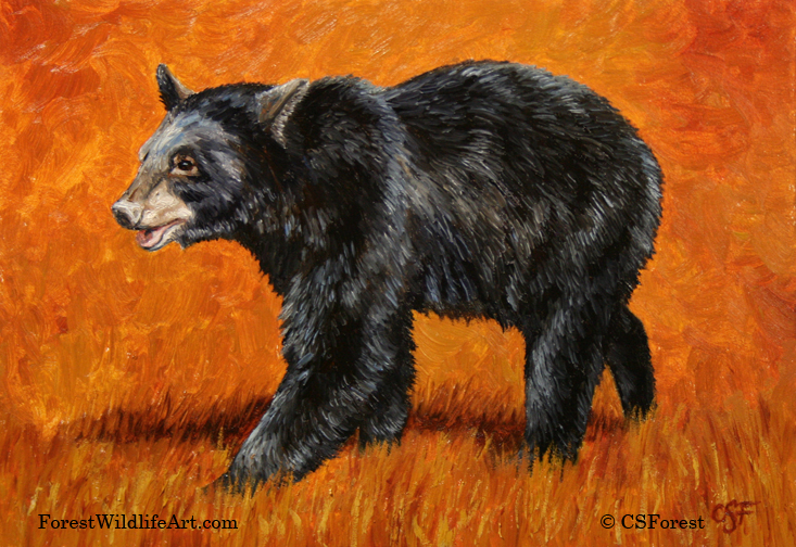 733x504 Black Bear 2 Hour Mini Painting - Black Bear Painting