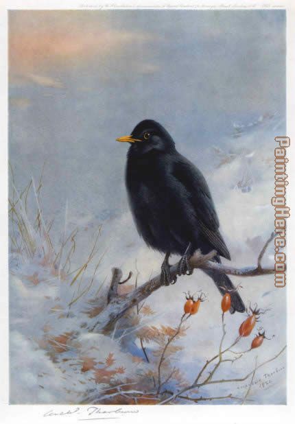 430x618 Archibald Thorburn Winter Blackbird Painting Anysize 50% Off - Black Bird Painting