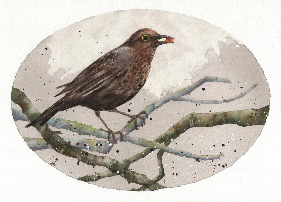 900x648 Blackbird Painting Painting By Alison Fennell - Black Bird Painting