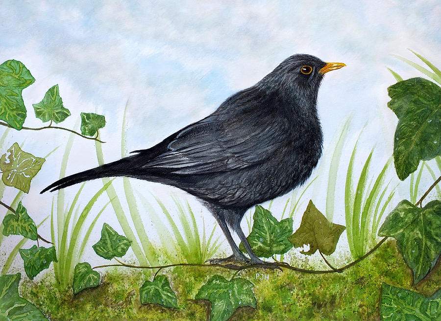 900x656 The Blackbird Painting By Philip Harvey - Black Bird Painting