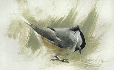 366x225 Black Capped Chickadee - Black Capped Chickadee Painting
