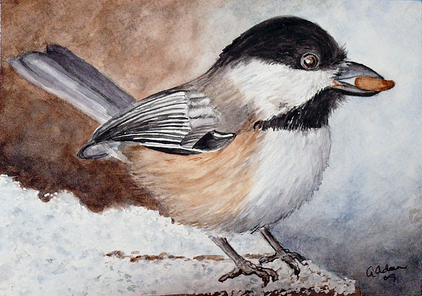 600x421 Black Capped Chickadee Painting By Angela Johnson - Black Capped Chickadee Painting