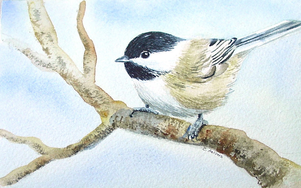 Black Capped Chickadee Painting at PaintingValley.com | Explore ...